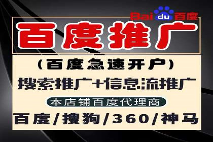 SEM托管代运营案例：打造高效营销体系